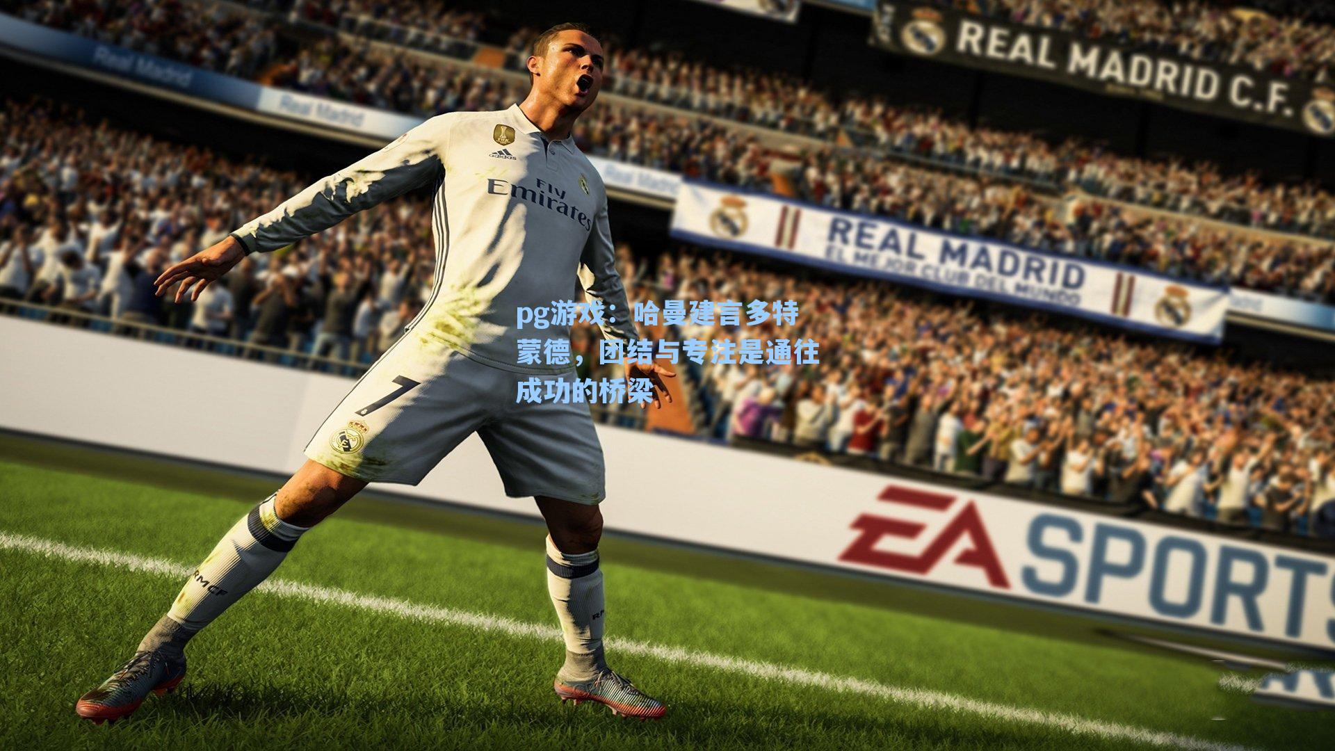 哈曼建言多特蒙德,团结与专注是通往成功的桥梁